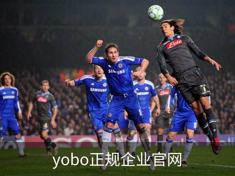 yobo正规企业官网简介